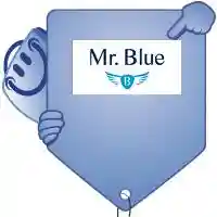  Código de Cupom Mr. Blue